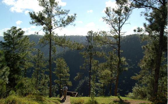 trek forest reserve belize