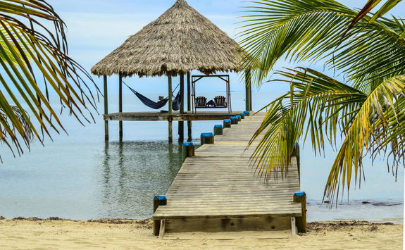 palapa hammock