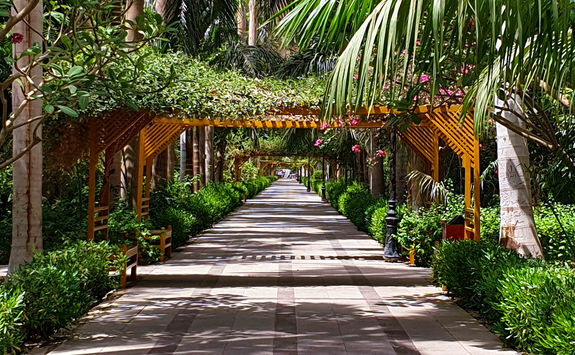botanical gardens in aswan