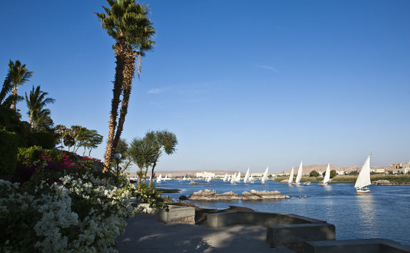 the nile and botanical garden