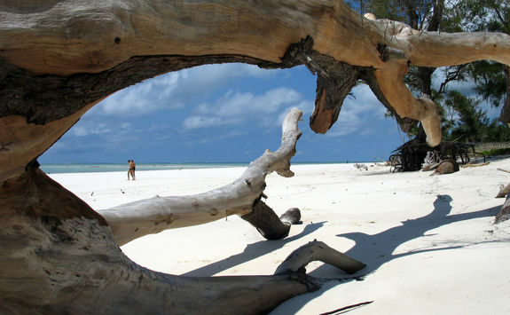 driftwood beach kenya