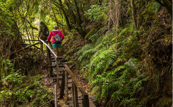 footpath in huerquehue national park
