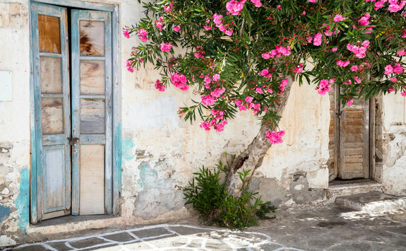 wooden door greek culture