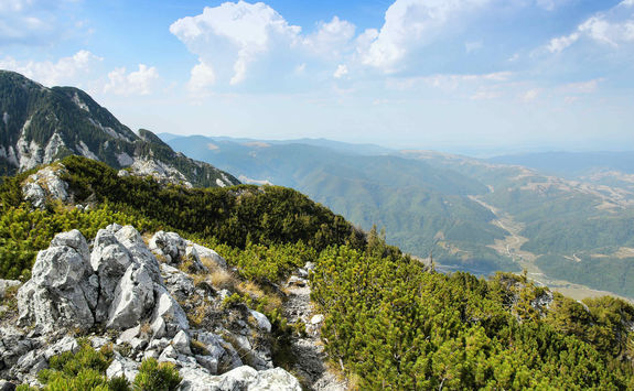 trail piatra craiului national park