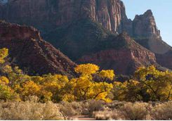 Pa'rus Trail
