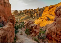 Devils Garden Trail