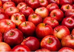 Close up of apples