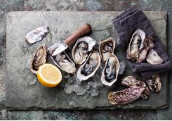 Oysters