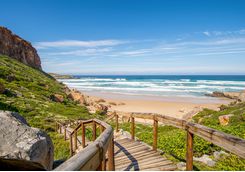 Beach Walkway