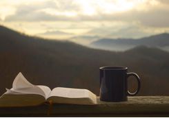 Reading with a view