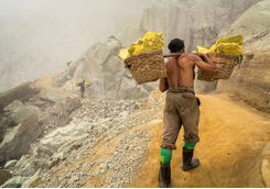 Sulphur miner, Ijen
