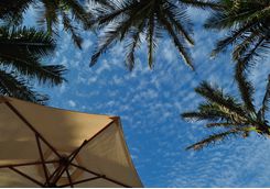 Sunny skies in Durban