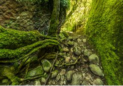 Trekking in KwaZulu-Natal