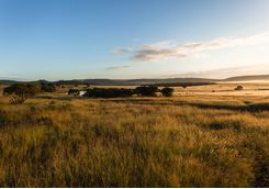 Phinda Game Reserve