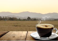 Morning coffee on safari
