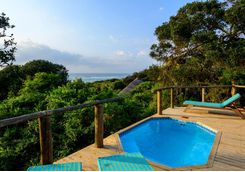 Deluxe Ocean Pool Villa, Thonga Beach Lodge