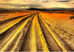 Beach tracks, KwaZulu-Natal