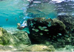Snorkelling off the coast of Thonga Beach Lodge