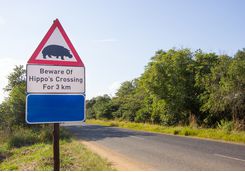 Hippo crossing sign