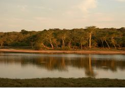 Lake in Maputaland