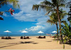 Sanur beach palm trees