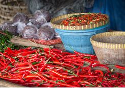 Red chillies in Bali cooking class