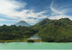 Java Landscape