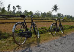 Cycling in Central Java