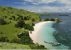 Komodo beach