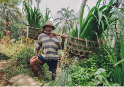Rural Farmer, Indonesia