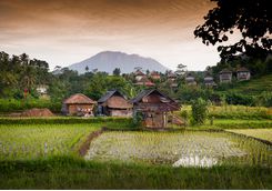 Village, Bali