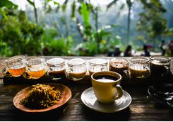 Coffee in Bali