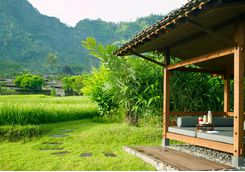 rice field from hotel java