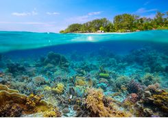 indonesia underwater