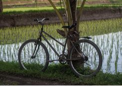 cycle indonesia