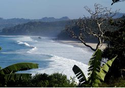 Nihiwatu beach sumba island