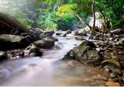 waterfall sumba island