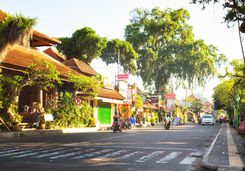 Ubud moneky forest road