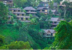 ubud village