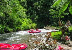 ayung river rafting
