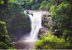 ayung river waterfall