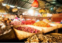 bali food market