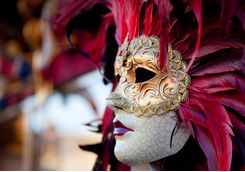 veince masks