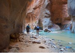 Image of Gorge Walkers