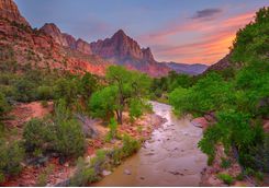 A River in the Zion National Park