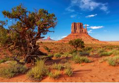 Desert Scenery