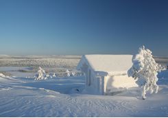 Snow covered scenery