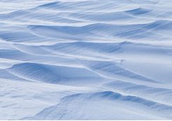 Explore the ice fields