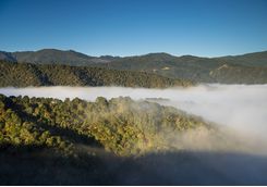 Carmel Valley Morning Fog
