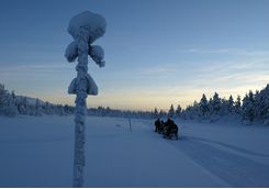 A snowmobile ride at night